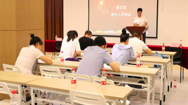 少儿编程与Scratch：两种编程教育工具的深度解析